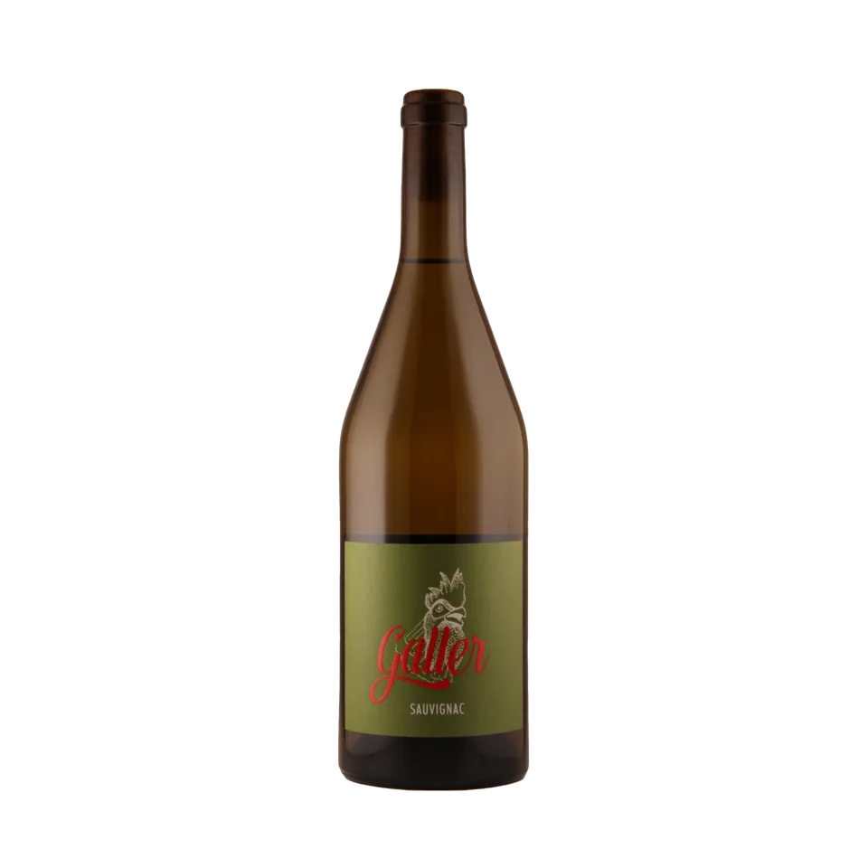 galler-2018-sauvignac-qba-trocken-0-75l-piwi-wei-wein image 1