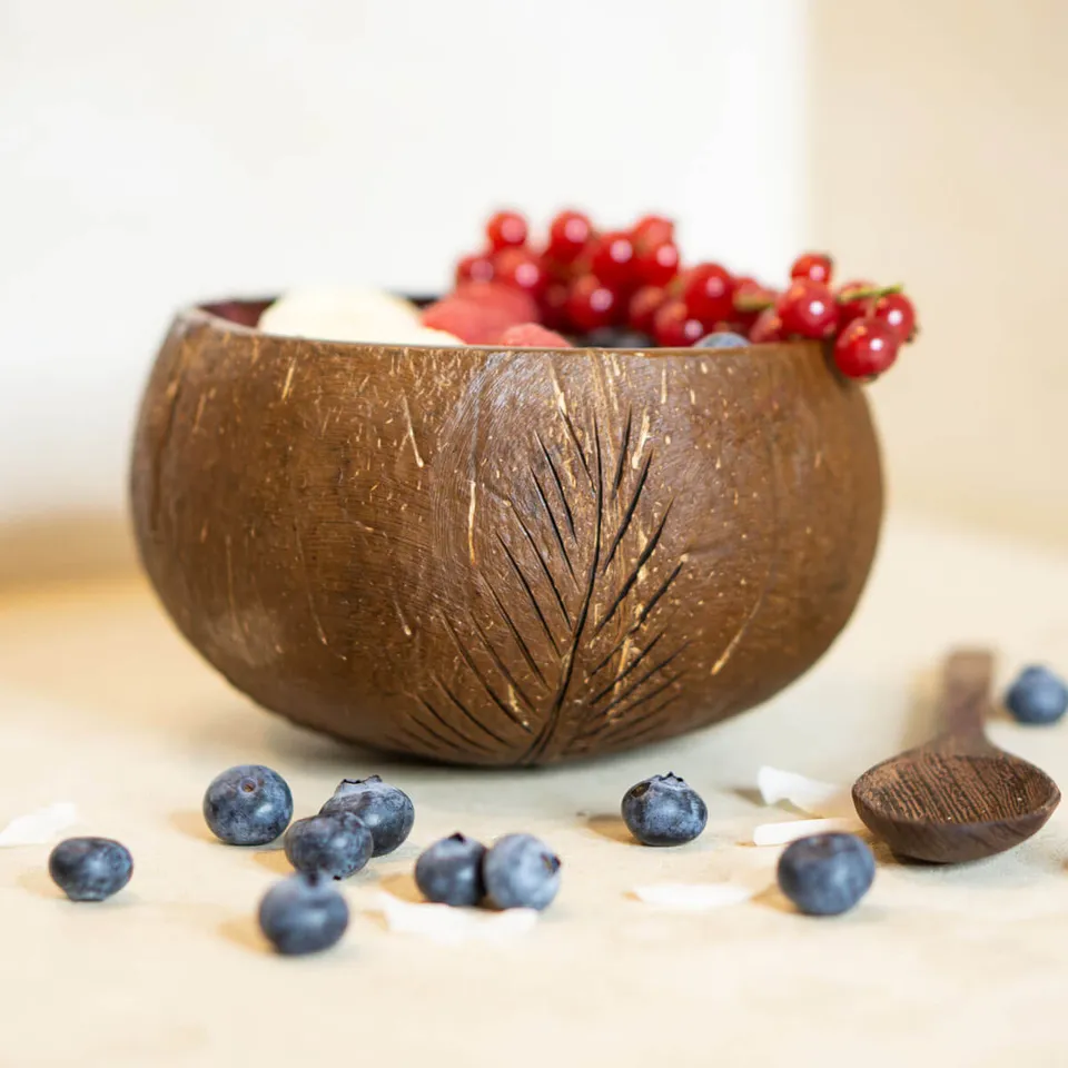 io-nova-kokosnuss-set-bowl-l-ffel-2er-set image 1