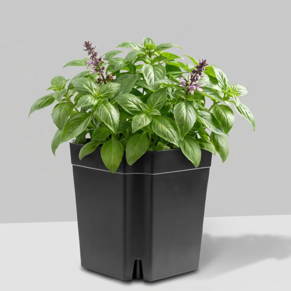 io-nova-flexiflora-modulares-pflanzsystem image 1