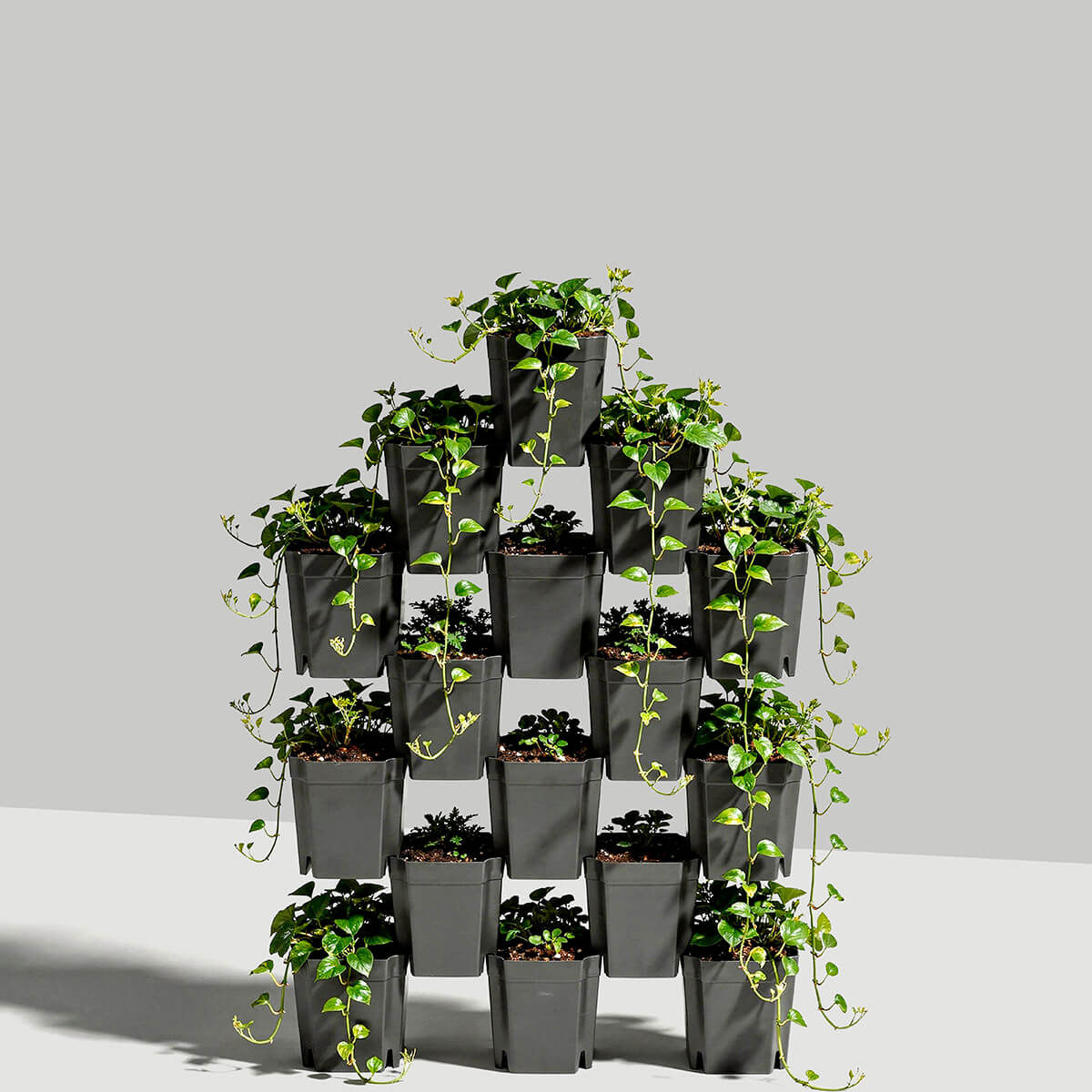 io-nova-flexiflora-modulares-pflanzsystem image 3