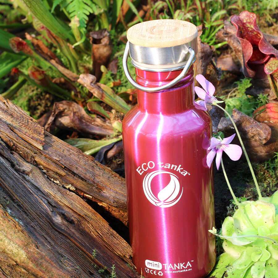 ecotanka-0-6l-minitanka-edelstahl-trinkflasche-mit-edelstahl-bambus-verschluss image 8