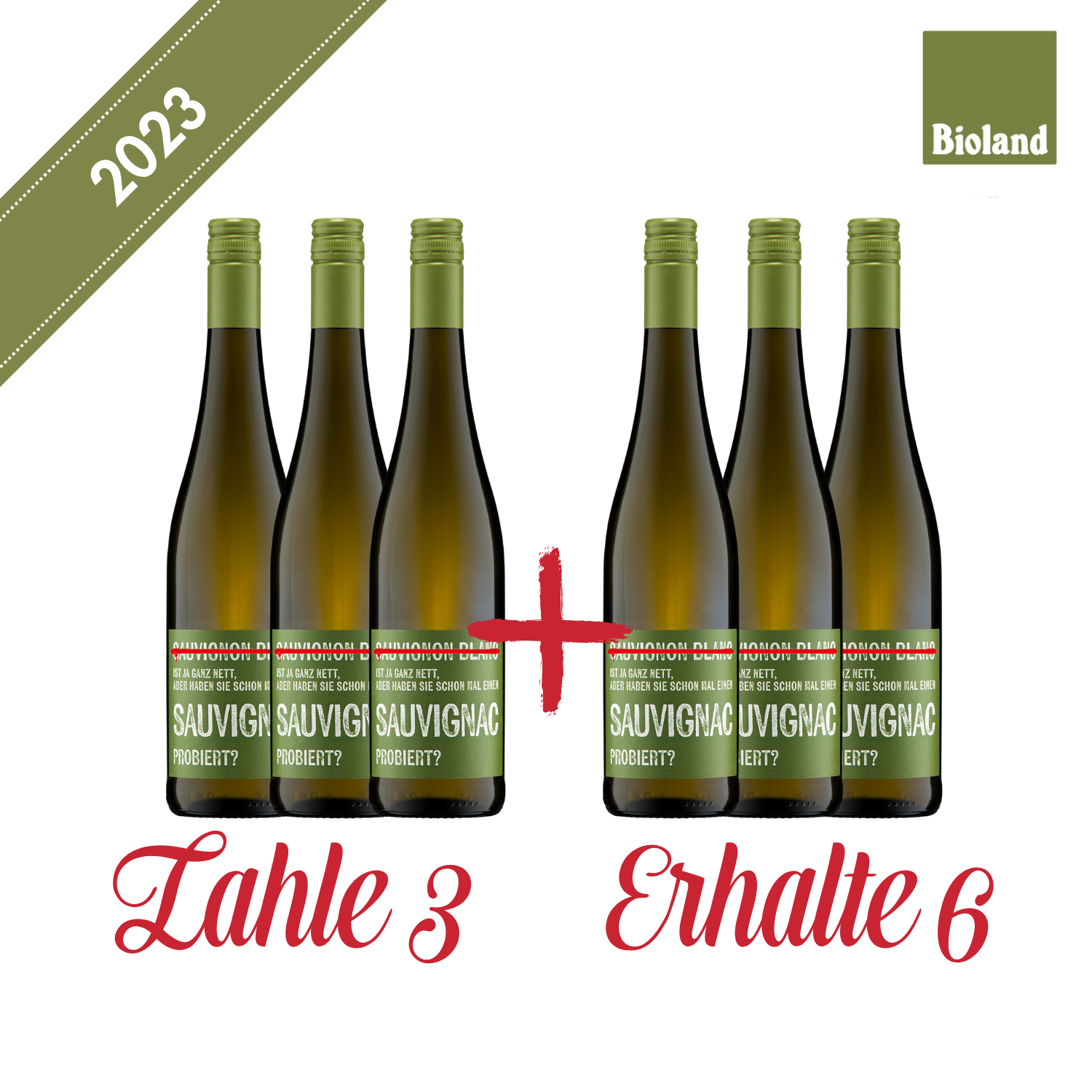 galler-2023-sauvignac-qba-trocken-0-75-l-3-6-paket image 1