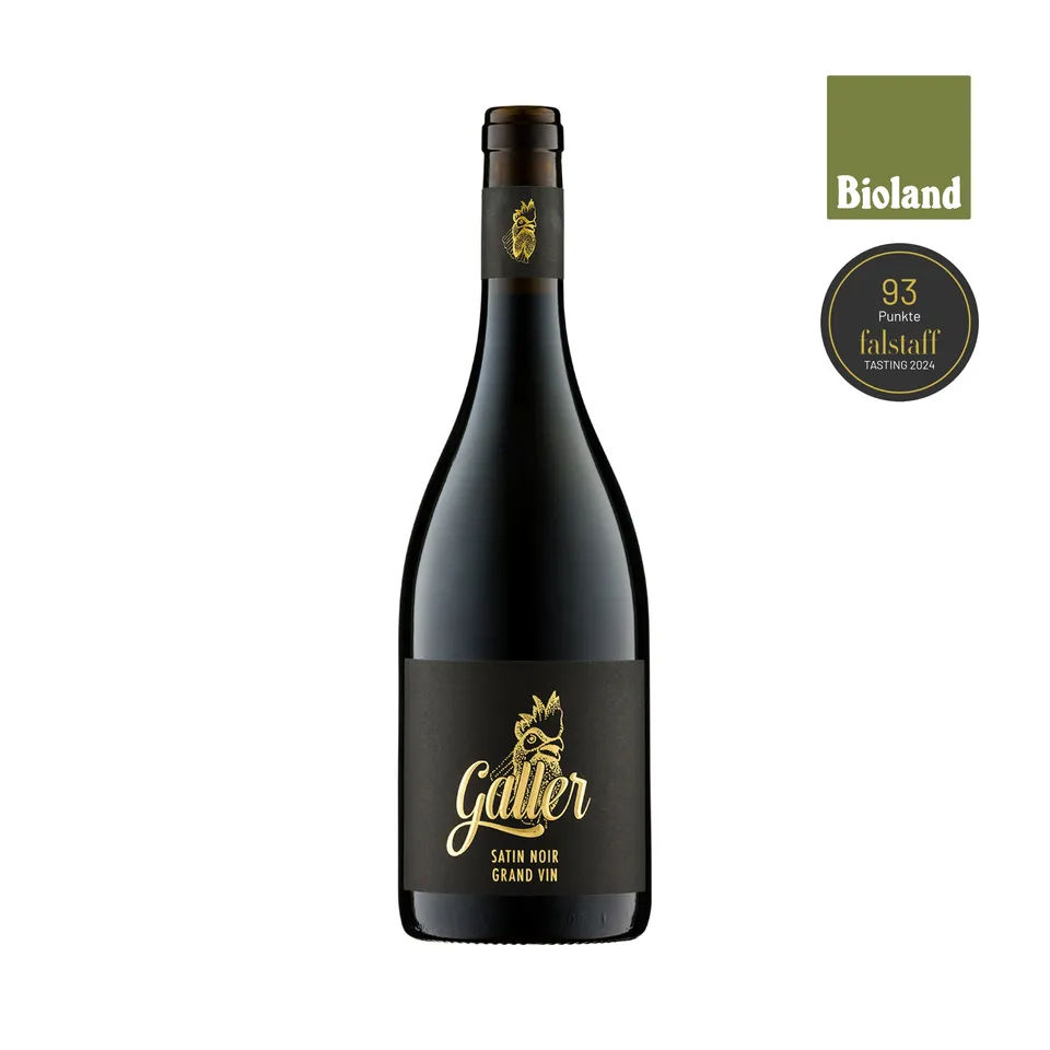 galler-2020-satin-noir-qba-rotwein-trocken-0-75-l image 1