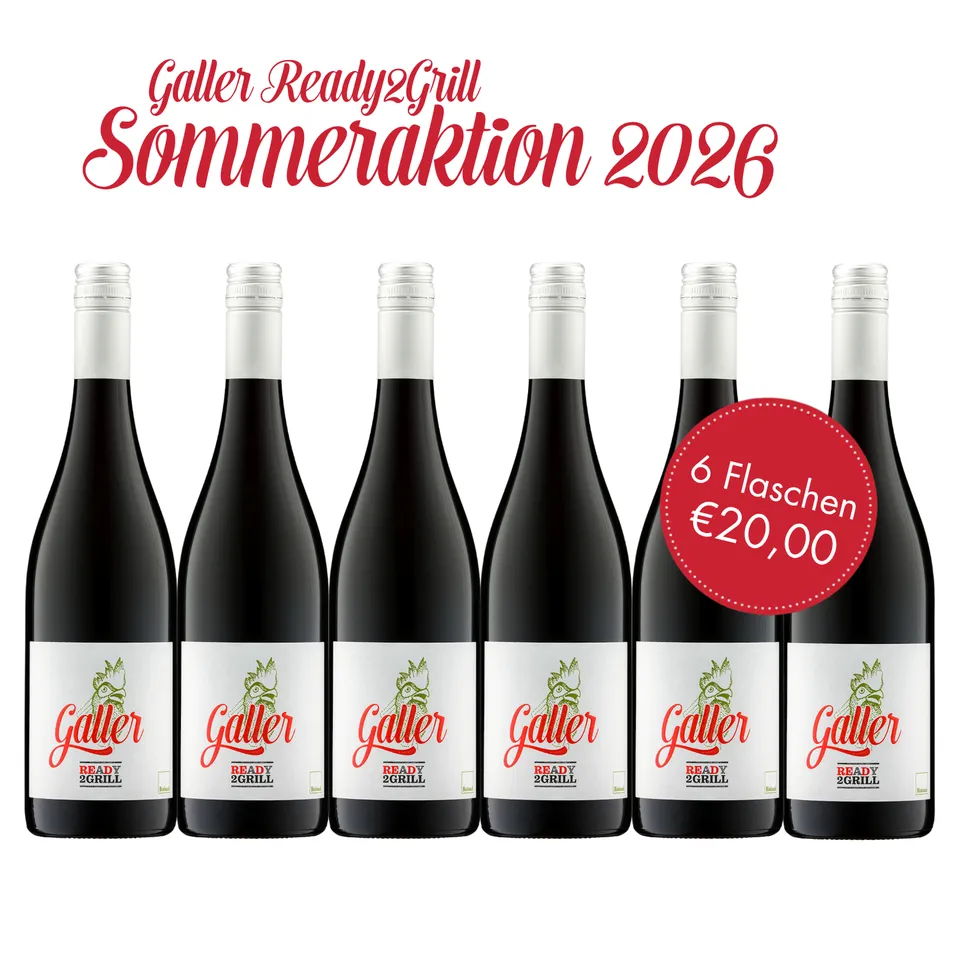 galler-ready2grill-dornfelder-bio-rotwein-paket-6-x-0-75l image 1