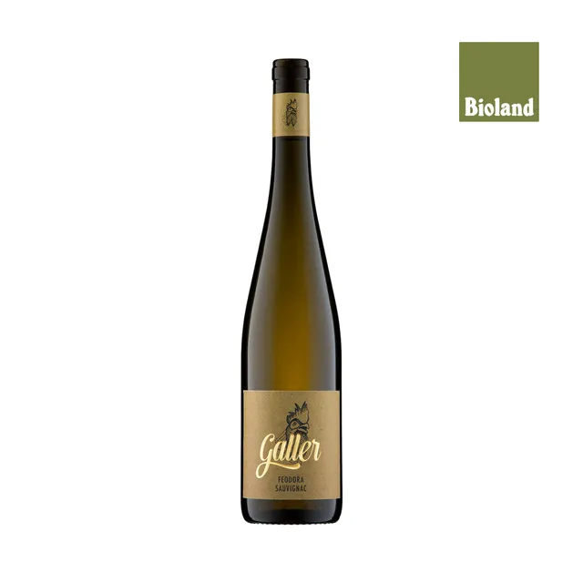 galler-2022-feodora-sauvignac-qba-trocken-wei-wein-0-75l image 1