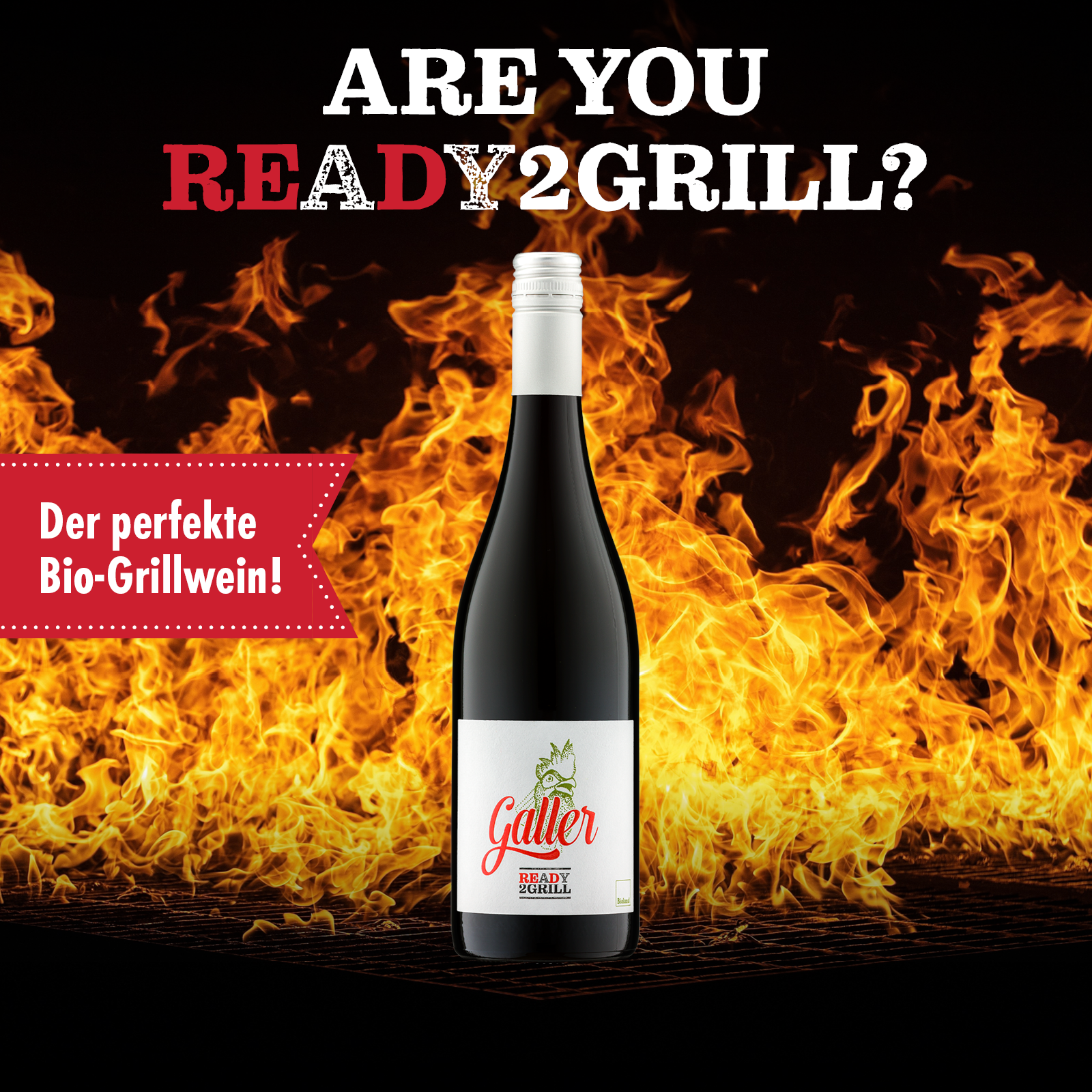 galler-ready2grill-rotwein-qba-trocken-0-75l-bio-dornfelder image 3